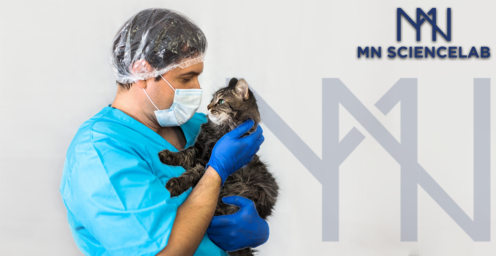 MN - HUND&KATT'in Bazı Vakalar Üzerinde Etkileri